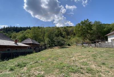 Teren 4000 mp intravilan loc. Aninoasa, jud Arges. Comision 0% - 3