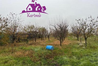 Parcela de teren Nojorid - 5