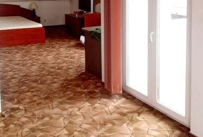 Vanzare Casa Harman - 18