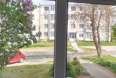 Apartament cu 2 camere semidecomandat în Central - 4