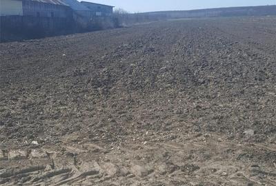 Teren de 7444 mp, în Dărmănești - 1