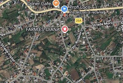 Spațiu comercial, în Mărginenii de Sus - 3