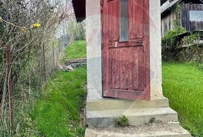 O casa cu suflet, ascunsa in inima verde a Mu?celului, la Campulung! - 6