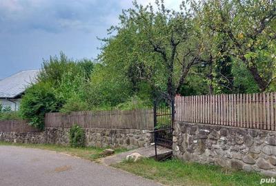 Casă cu 6 camere cu Teren 4500 Mp în Brebu - 4