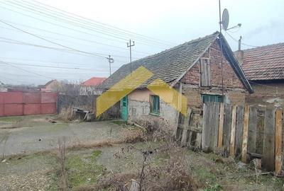 Casa cu teren 1757 mp in Sambateni de vanzare - 5