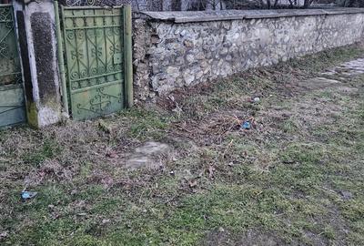 Casa Stane?ti Gorj 7000mp - 2