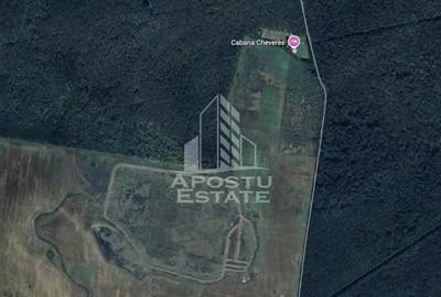 Teren de 27000 mp, în Chevereșu Mare - 1