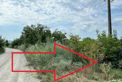 Teren 7.200 mp, de vanzare, loc. Rusi Ciutea, com. Letea Veche, jud. Bacau - 5