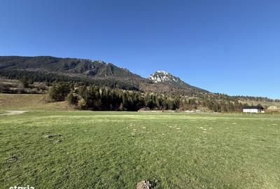 Spațiu comercial, în Plaiul Foii - 10