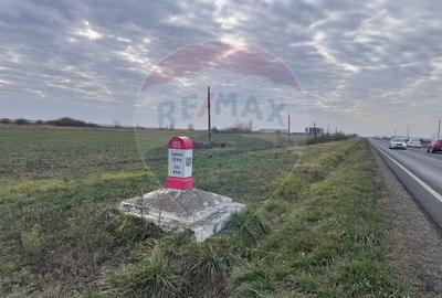 Teren Construcții intravilan de 1503 mp, în Nojorid - 3