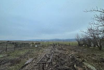 Casă cu Teren 1380 Mp în Central - 8