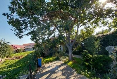 Casă cu 3 camere cu Teren 513 Mp în Valu lui Traian - 1