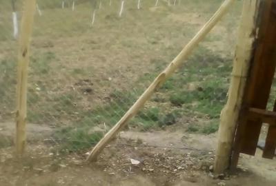 Casa locuibila + teren 8900 mp, utilita?i, anexa, livada-toate actele. - 8