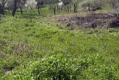 Teren de 376 mp, în Exterior Vest - 6