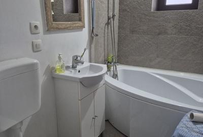 Casă cu 3 camere cu Teren 2800 Mp în Sânmihaiu Almașului - 11