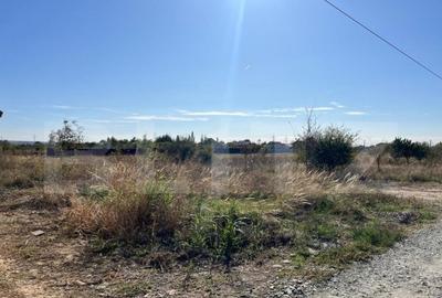 Teren 500 mp, in Albesti - 3