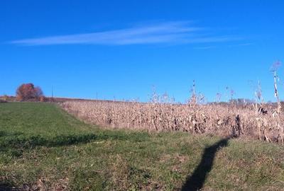 Teren, loc de casa 1800 mp - 9