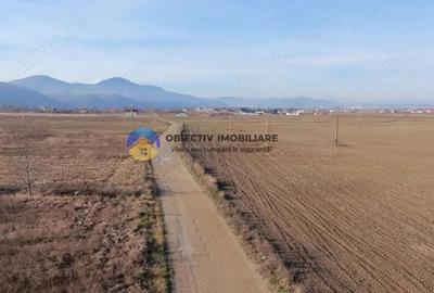 Teren investi?ie intravilan 3600 mp Dumbrava Ro?ie - 6