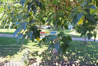 Inchiriere vila reprezentativa Rond Cosbuc / Libertatii / Parcul Carol Inchiriere vila reprezentativa Rond Cosbuc / Libertatii / Parcul Carol - 9