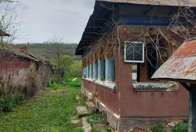 Casă în Coțofenii din Dos - 4