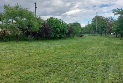 Teren de 4250 mp, în Ungureni (Dragomirești) - 5