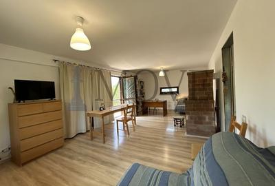 BELCIUGATELE- Casă de vacanță sau locuință permanentă - 35
