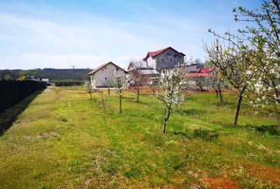 Casa P+E, BASCOV, semifinisata, teren 5044mp - 4