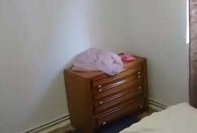 Apartament cu 3 camere strada Plopilor 49 - 1