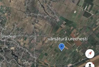 Teren de 5400 mp, în Vânători - 1