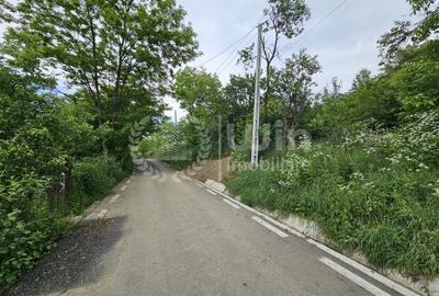 Teren intravilan construibil imediat | 1500mp | Front 30m | Iclozel - 3