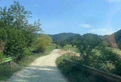 Teren de 3600 mp, în Șopotu Nou - 2