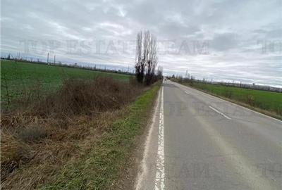 Teren Extravilan in Prahova - 2
