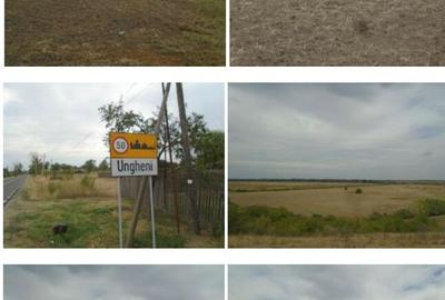 Teren extravilan 5000 mp, Com Ungheni, Jud Arges - 2