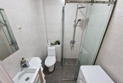 Garsoniera de inchiriat in zona Victoriei - 1