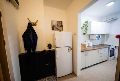 Apartament 2 camere, 50mp, pet-friendly, metrou, centrala, P-ta Unirii - 5