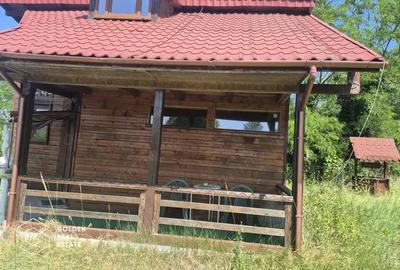 Casa de vacanta in comuna Sistarovat - 2