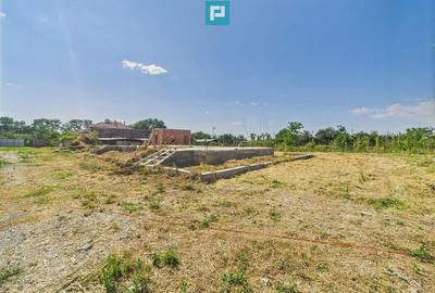 Teren 1000 mp Uliuc, cu funda?ie ?i proiect casa - 6