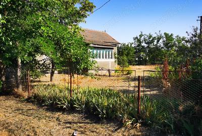 Casa batraneasca cu teren 3000 mp Casa batraneasca cu teren 3000 mp - 5