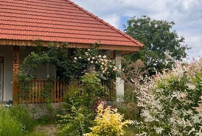 Casă cu 4 camere cu Teren 1415 Mp în Drajna - 2