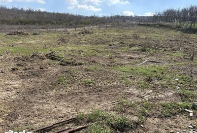 Teren de 700 mp, în Tomești