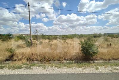 Teren intravilan, 4905 mp, zona Aeroport, la centura de Nord - 3