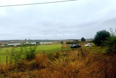 Vanzare 10.000 mp teren Liteni Suceava- la strada -potrivit proiect fonduri - 12