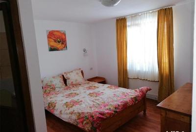 Spațiu comercial, de 500 mp, în Baia de Fier - 7