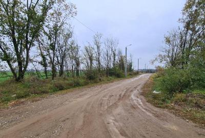 Teren de 3000 mp, în Brănești - 7