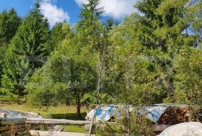 Teren de 3015 mp, în Arieșeni - 2