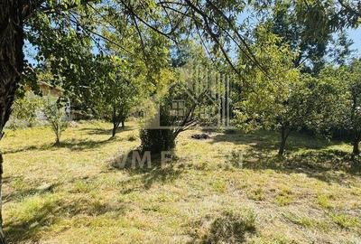 TEREN INTRAVILAN 3234 MP LERE?TI VOINE?TI ARGE? - 18