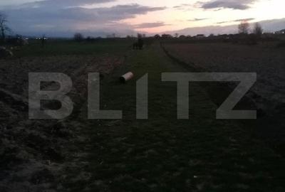 Teren intravilan 2900 mp cun toate utilitatiile la front in Vintu de Jos - 2