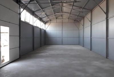 Spațiu comercial, de 120 mp, în Cantemir - 3