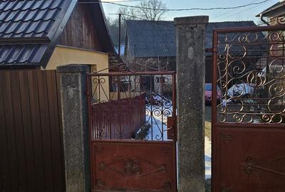 Casă cu 3 camere cu Teren 784 Mp în Izvoru Crișului - 9