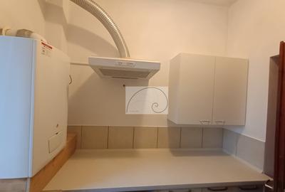 Duplex in villa - etaj plus mansarda - Foisorul de foc - 21